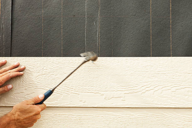 Best Engineered Wood Siding  in Bolivar, TN